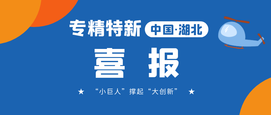 喜報(bào)!飛燕遙感成功入選省級(jí)專精特新“小巨人”企業(yè)